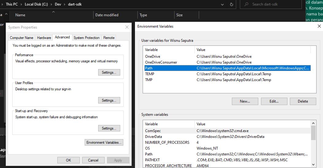 Edit Environment Variable Dart on Windows