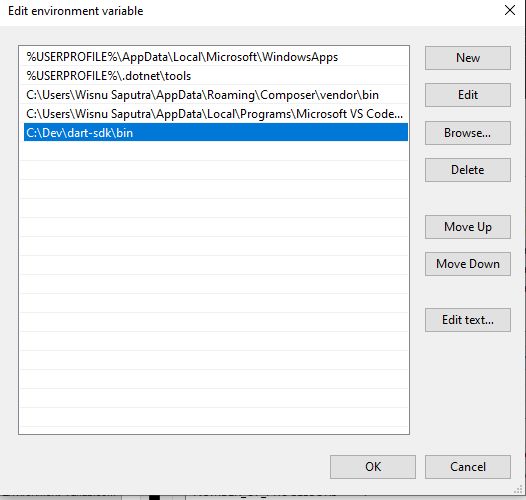 Set Environment Variable Path Dart